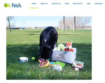 Oh Fetch LLC website